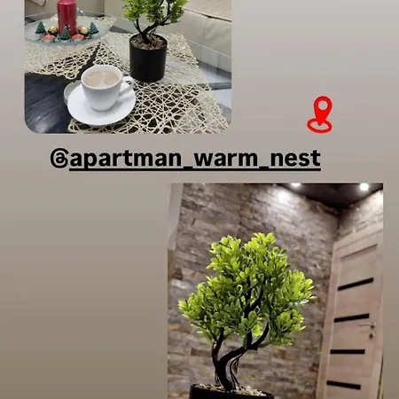 Warm Nest شقة *